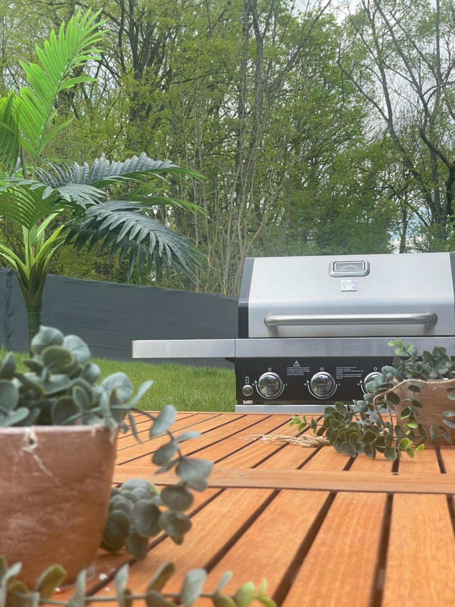 Sinalospa - Culiacan - Appartement Jardin Jacuzzi Sauna A 5 Minutes De Nancy Place Stanislas Champigneulles Εξωτερικό φωτογραφία