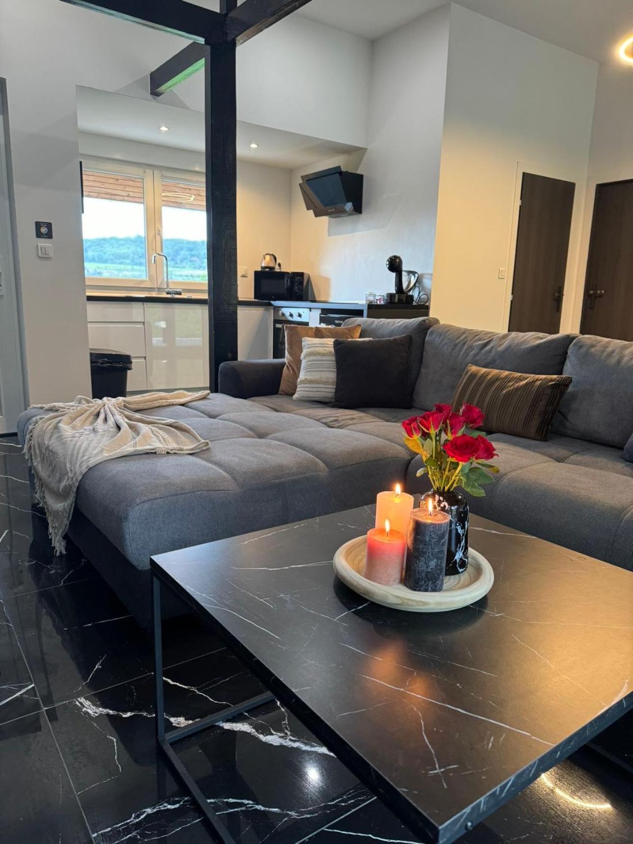 Sinalospa - Culiacan - Appartement Jardin Jacuzzi Sauna A 5 Minutes De Nancy Place Stanislas Champigneulles Εξωτερικό φωτογραφία